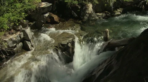 Paradise Creek 07 Video stock 3476841