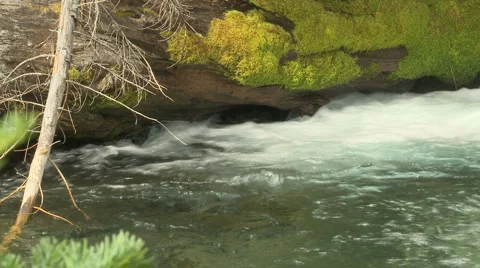 Paradise Creek 14 Stock Footage 3494542