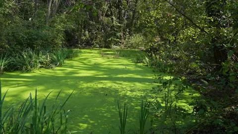 Paradise on earth Stock Footage 254813489