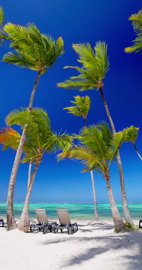 Paradise exotic sandy beach Punta Cana, Dominican Republic Vídeos de archivo 336954447