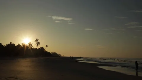 Paradise Stock Footage 86620697