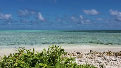 Paradise found endless blue breathtaking static view caribbean sandbank, Vídeos de archivo 222755649