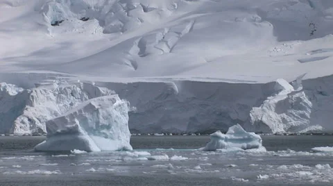 Paradise Harbour Stock Footage 38236701