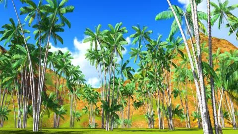 Paradise on Hawaii Island 3d rendering 库存插图