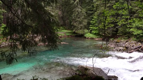 A paradise hidden in the mountains, the alpine stream that will leave you br 動画素材 243559776