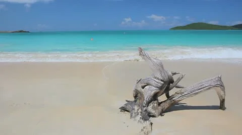 Paradise island beach Stock Footage 8928832