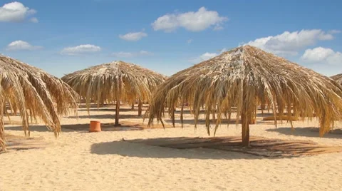 Paradise island Stock Footage 8259919