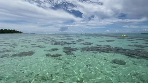 Paradise lagoon in Moorea Stock-Footage 344349209