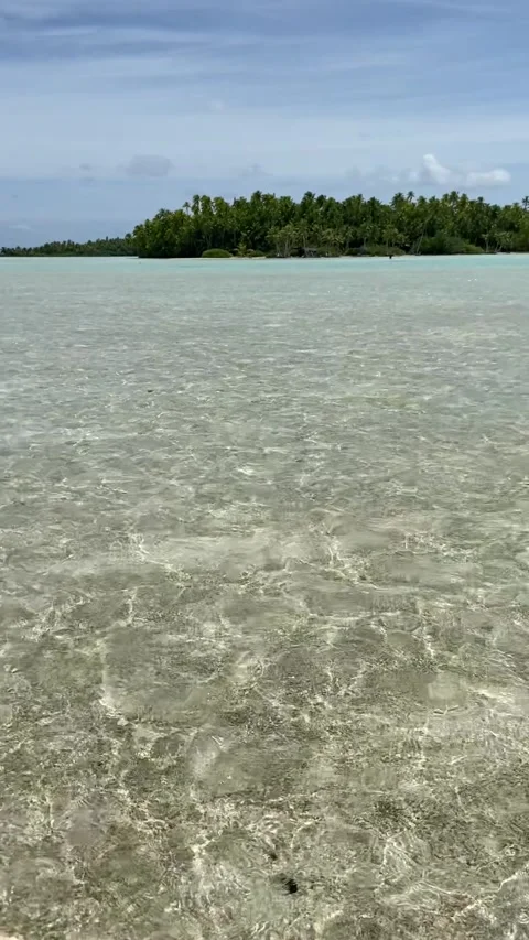 Paradise lagoon in Rangiroa Vidéo 344426672