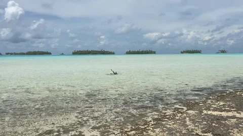Paradise lagoon in Rangiroa Stock-Footage 344427347