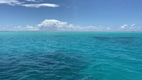 Paradise lagoon in Tahaa Stock-Footage 344477633