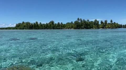 Paradise lagoon in Tahaa Stock-Footage 344477742