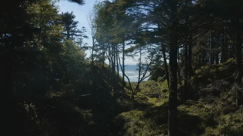 Paradise lost Stock Footage 112310244