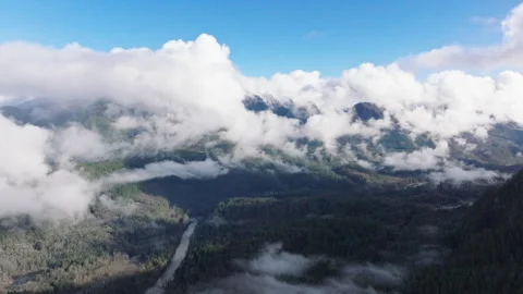 Paradise mountain range in heaven cloudscape Evergreen forest, Washington nature Vidéo 265926178