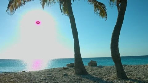 Paradise palm beach Stock Footage 87141742