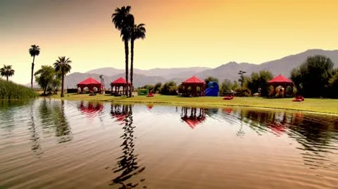 Paradise Palm Trees Stock Footage 10755782