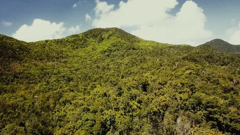 Paradise panorama of rainforest, Guadeloupe, Caribbean. Stock Footage