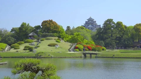 Paradise park with green grass, trees and clear river Stock Footage 161873054