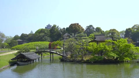 Paradise park with green grass, trees and clear river Stock Footage 161873067