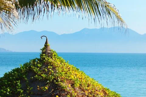 Paradise Stock Photos