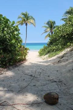 Paradise Stock Photos