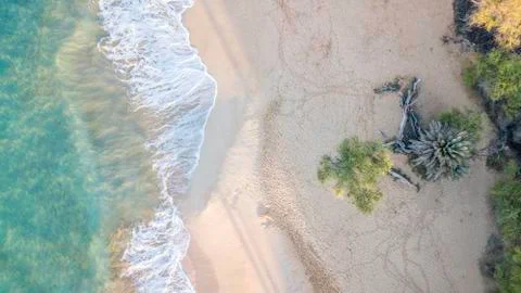 Paradise 스톡 사진