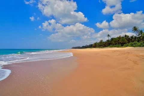 Paradise Photos