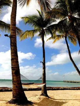 Paradise Photos