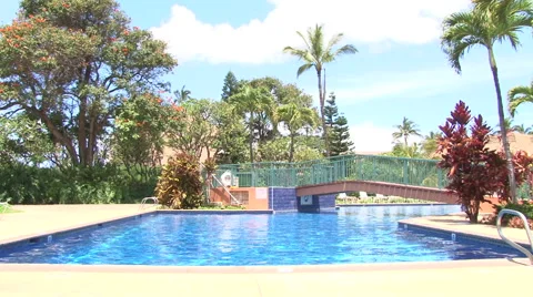 Paradise Pool Stock Footage 43077317
