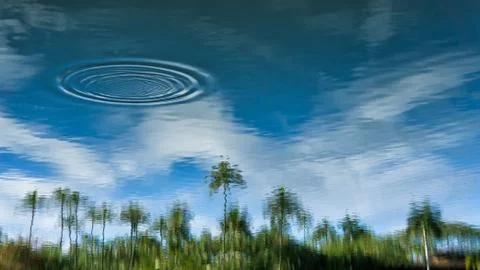 Paradise Reflections 스톡 사진