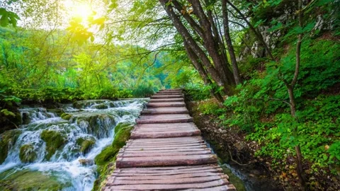 Paradise river Stock Footage 237489248