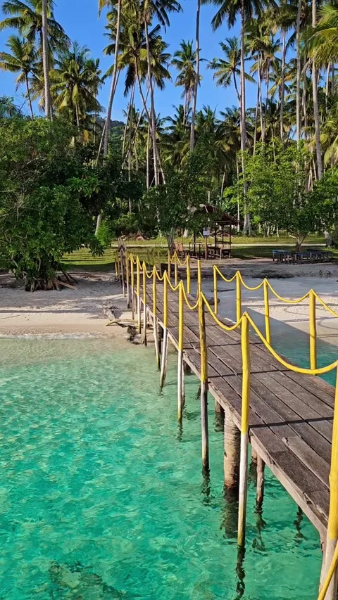 Paradise sandy beach with coconut palm trees and quiet sea on tropical island. Видео 332237597