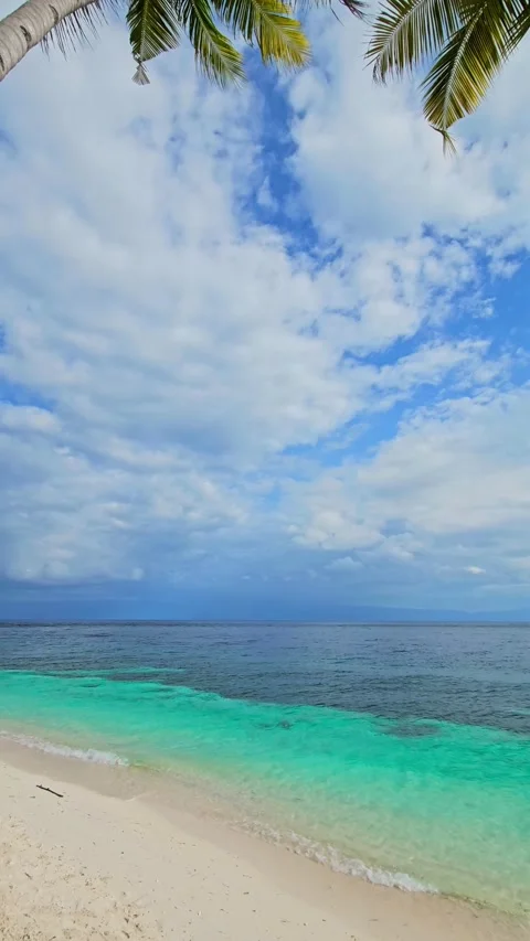 Paradise sandy beach with coconut palm trees and quiet sea, vertical screen. Vidéo 333642385