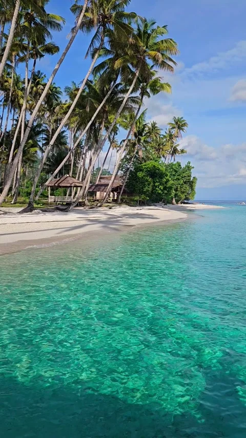 Paradise sandy beach with palm trees and quiet sea on tropical island. Vídeos de archivo 331808839