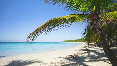 Paradise in the Seychelles.  Stock Footage 232648694