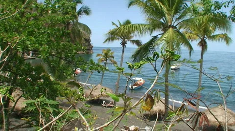 Paradise with Sound Stock Footage 486428