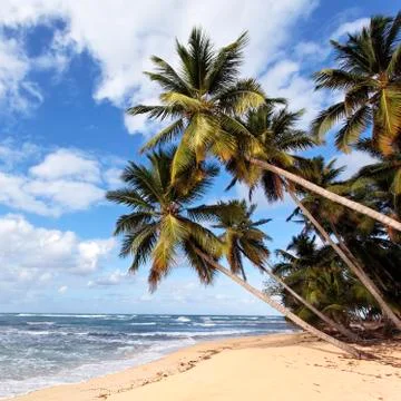 Paradise square Stock Photos