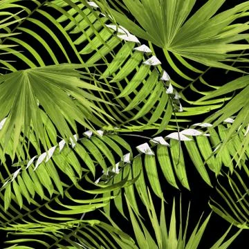 Paradise summer pattern with tropical palm leaf Stock Illustration
