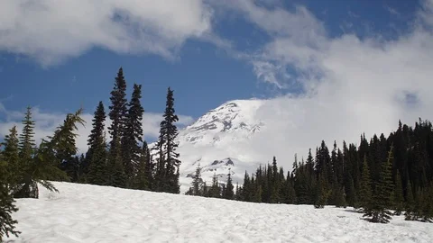 Paradise TL Stock Footage 109077594