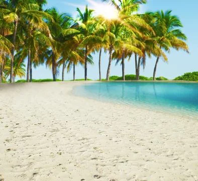 Paradise tropical beach Stock Photos