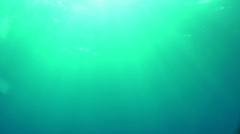 Paradise Underwater Stock Footage 68076124