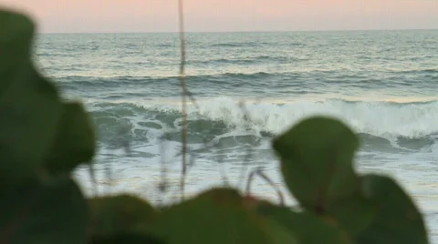 Paradise View Stock Footage 611009