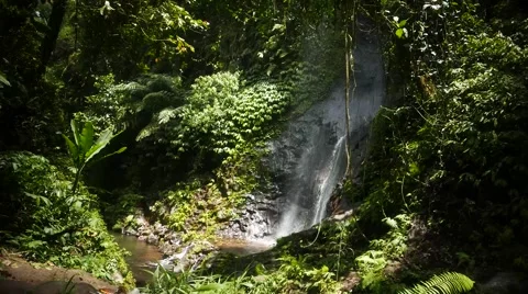 Paradise waterfall place 库存影片 64628269
