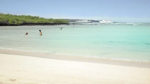 Paradisiac Beach Stock Footage 39774257