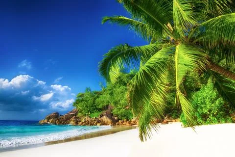 Paradisiac e beach in seychelles Stock Photos