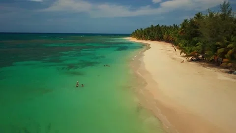 Paradisiac sand beach of Las Terrenas, Samana Peninsula, Dominican Vídeo Stock 157951773
