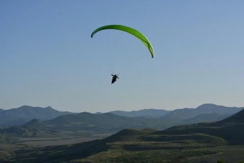 Paragilder Stock Photos