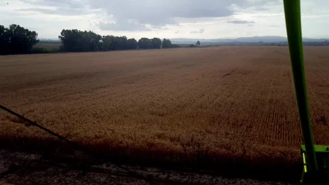 Paraglide Flight over wheat fields Vídeo Stock 264330260