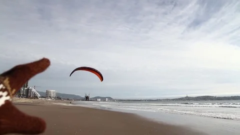 Paraglider beach landing Stock Footage 77129519