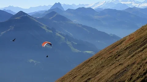 Paraglider crossing Stock-Footage 77731790